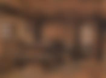 Bauernstube (preview)