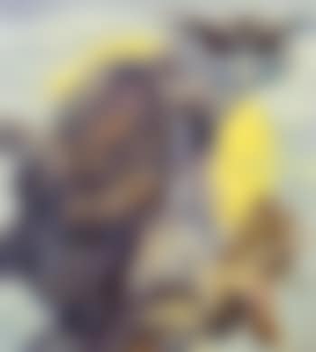 Der Nächtliche (preview)
