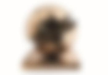 Sfera (preview)