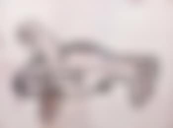 Untitled (preview)