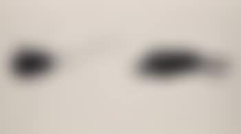 Brush (preview)