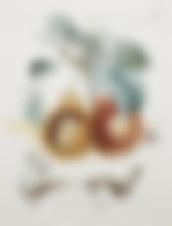 Fruits troués (Pierced Fruit) (preview)