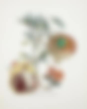 Grenade et l'ange (The Pomegranate and the Angel) (preview)