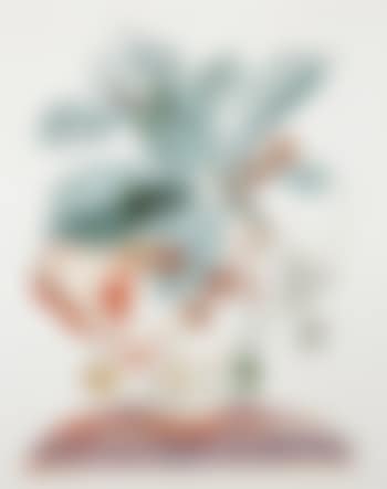 Cerises Pierrot (Pierrot Cherries) (preview)