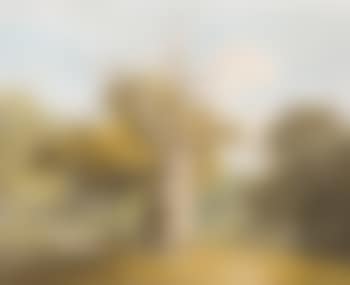 An Oak At Kedleston Hall, Derbyshire (preview)