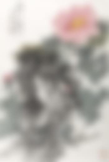 Peony and Rock (preview)