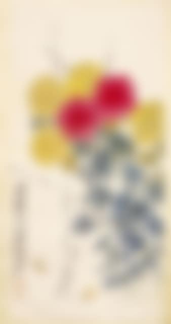 Chrysanthèmes Grillons Et Papillons (preview)