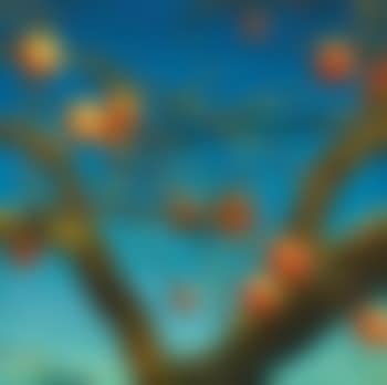 Persimmon (preview)