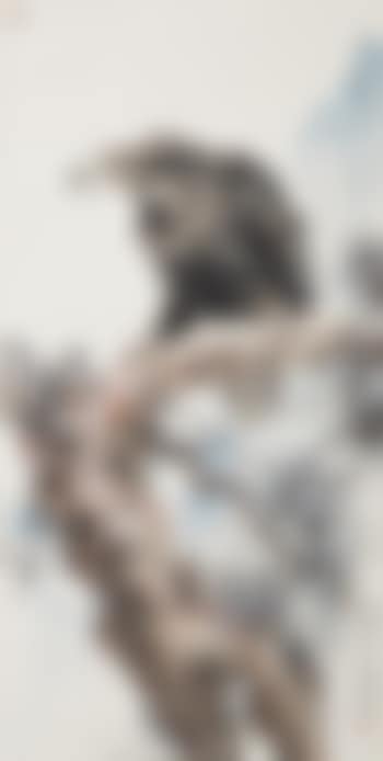 Pine and Eagle (preview)