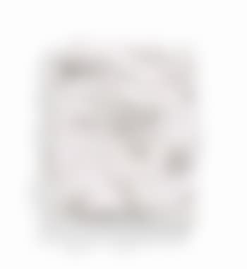 Zinc (preview)