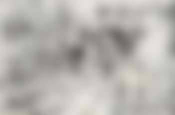 Des Coquilles Vides (Empty Shells) (preview)