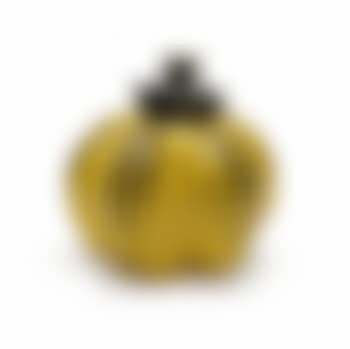 Pumpkin (preview)