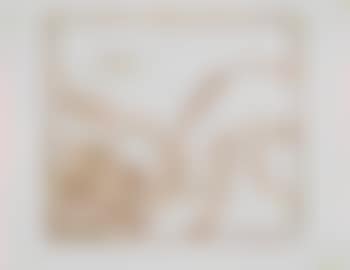 Entwurf zu Exlibris Emil Hirsch V (preview)
