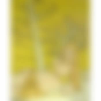 Yellow Trees (preview)