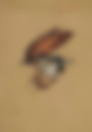 Tête de coq (preview)