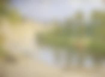Les falaises de la Dordogne (preview)