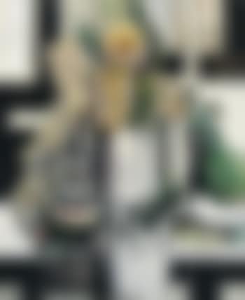 Native honeysuckle (preview)