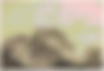 Rastende Wanderer bei einem Bauernhof (preview)
