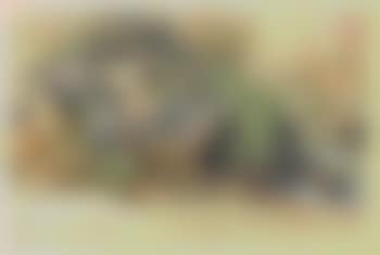 Studie eines Flusslaufs (preview)