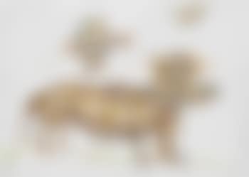 Das große Tier (preview)