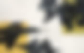 Dialogue Between Plane Line (preview)