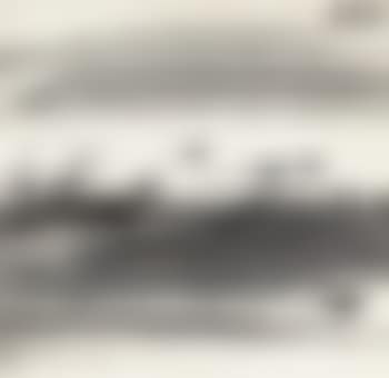 Geese (preview)