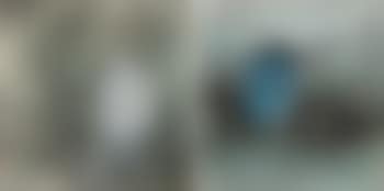 Birds (preview)