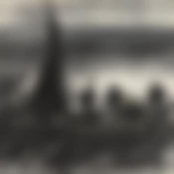 Cormorants And Reeds (preview)