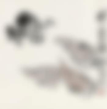 Mushrooms And Bamboo Shoots (preview)