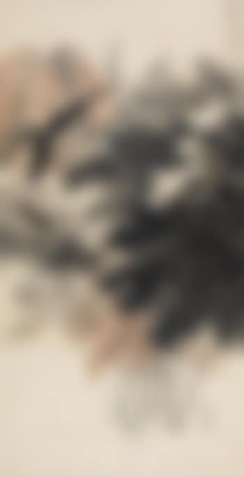 White Lotus (preview)