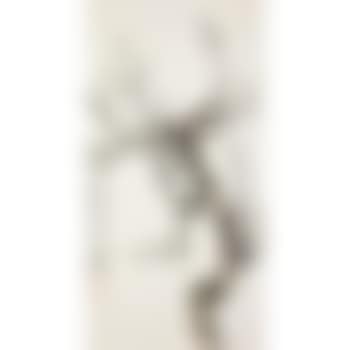 Plum blossom (preview)