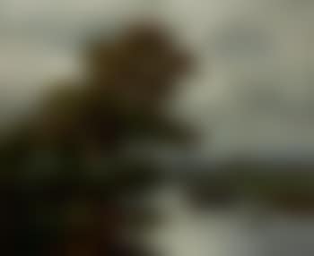 Paysage à la barque (preview)