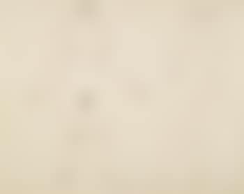 Two Female Nudes Standing; Seated Nude (preview)