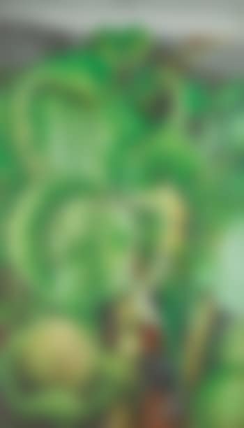 Cabbages (preview)