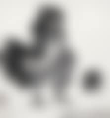 Birds (preview)