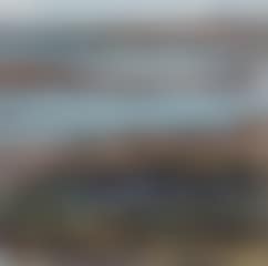 Landscape (preview)