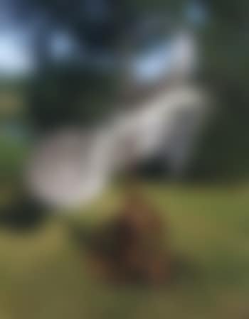 Ira's Piece (preview)