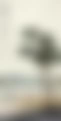 Figures (preview)