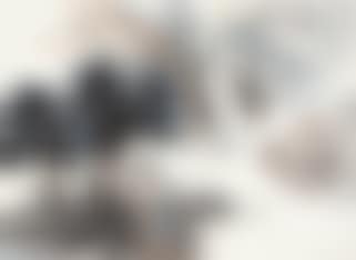 Landscape (preview)