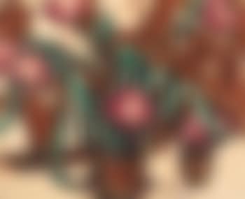 Rote Tulpen (preview)