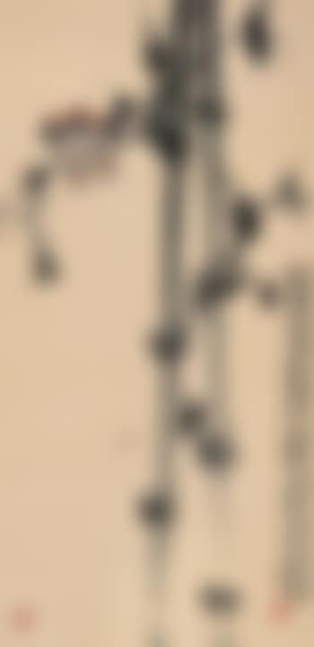 Bamboo and Sparrow (preview)