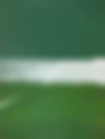 View (preview)
