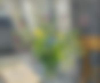 Midsommarblomster (preview)