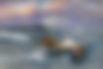 Ejdrar vid vattenbryn (preview)