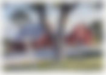 Red Barns Across a Road (preview)