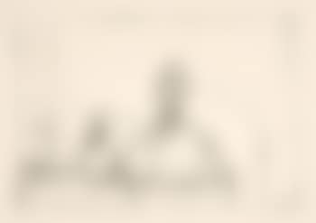 Buste (preview)