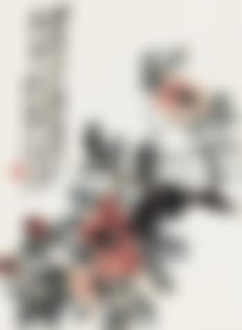 Camellia (preview)