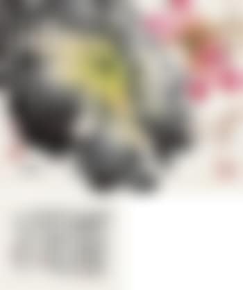Lotus (preview)