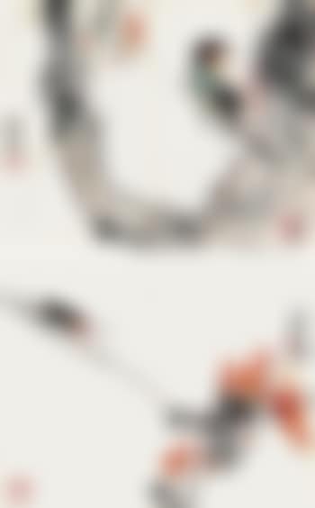 Cicada. Bird (preview)