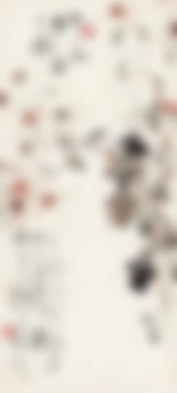 Chrysanthemums (preview)